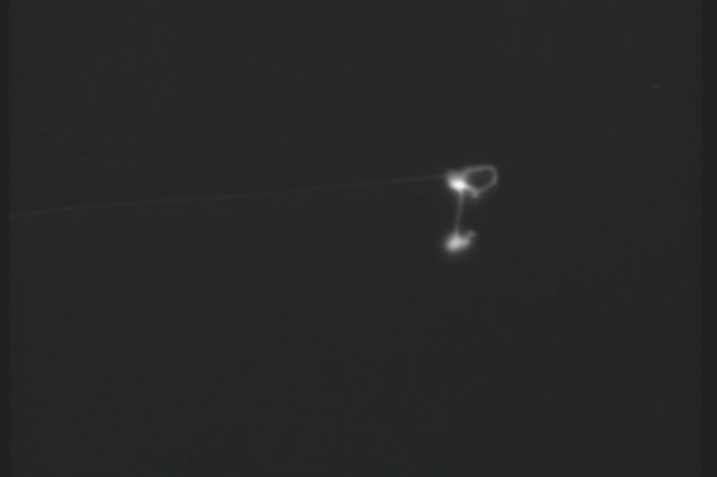 File:CR61-Image2.jpg