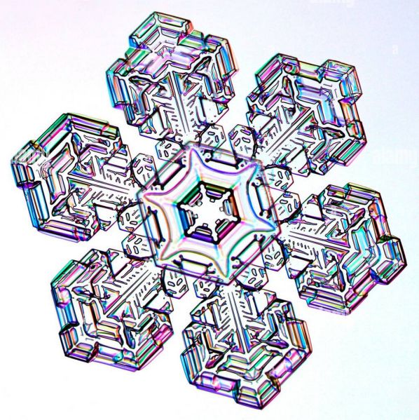 File:CR669-Image3.jpg