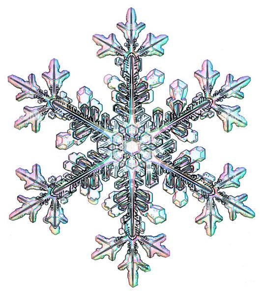 File:CR669-Image1.jpg