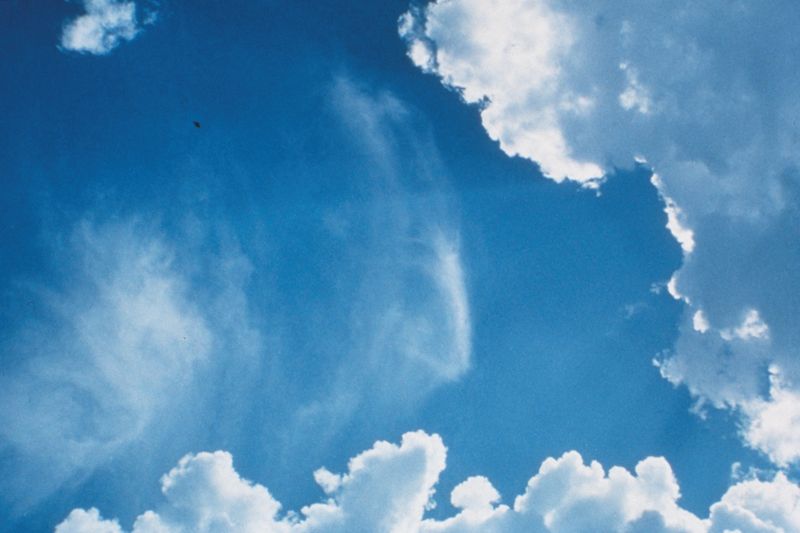 File:CR286-Image1.jpg