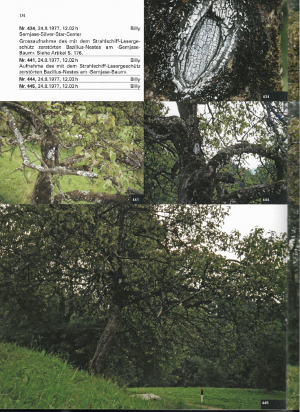 File:Photo-Inventarium p174.png