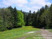 Field where Menara once landed her ship when she visited the Center.