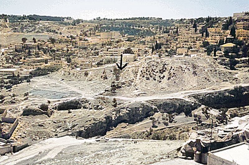 File:CR311-Image4.jpg