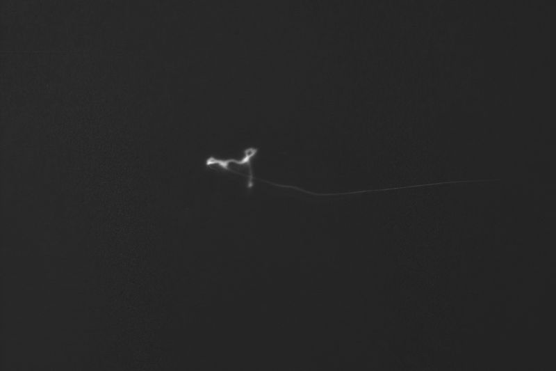 File:CR50-Image2.jpg