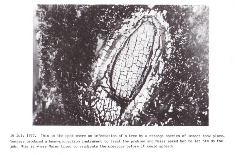 File:Wendelle Stevens Pleiadian Message Illustration 038.jpg