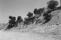 Thumbnail for version as of 10:09, 1 December 2023