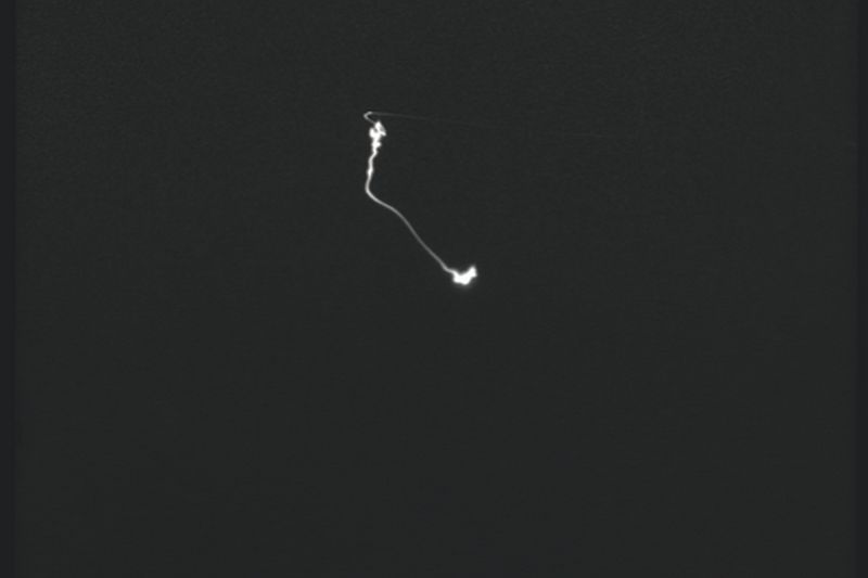 File:CR61-Image3.jpg