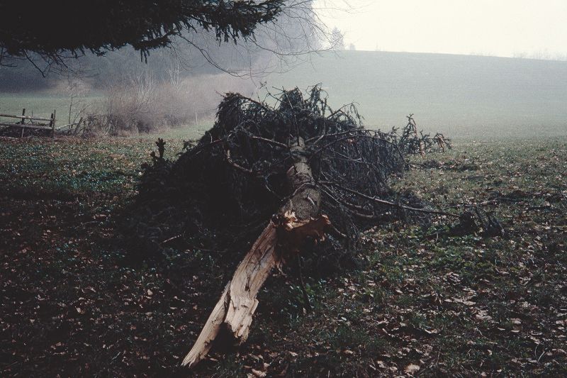 File:CR144-Image13.jpg