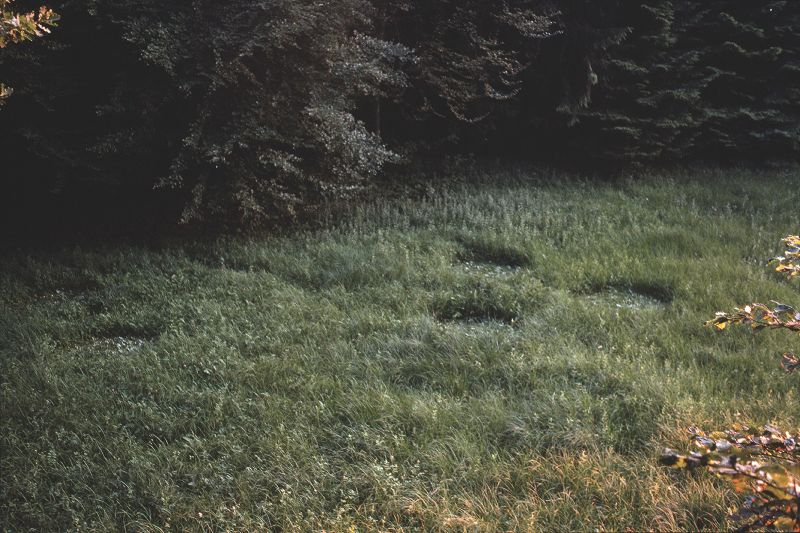 File:CR59-Image1.jpg