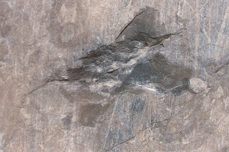 File:CR236-Image2.jpg