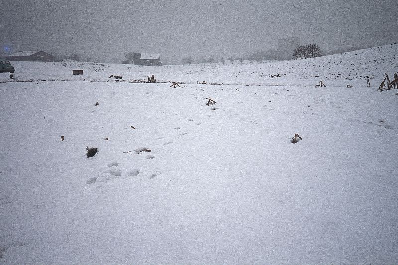 File:CR70-Image1.jpg