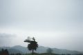 Thumbnail for version as of 16:45, 17 September 2023
