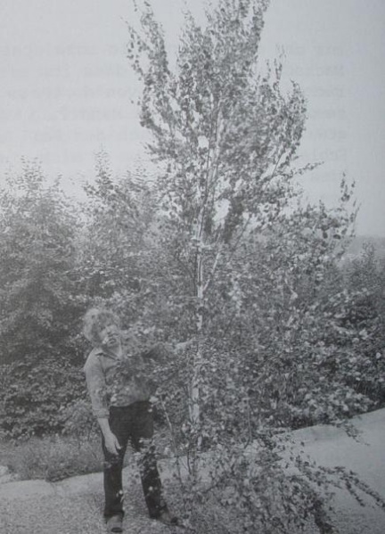 File:Contact 236 photo4.jpg