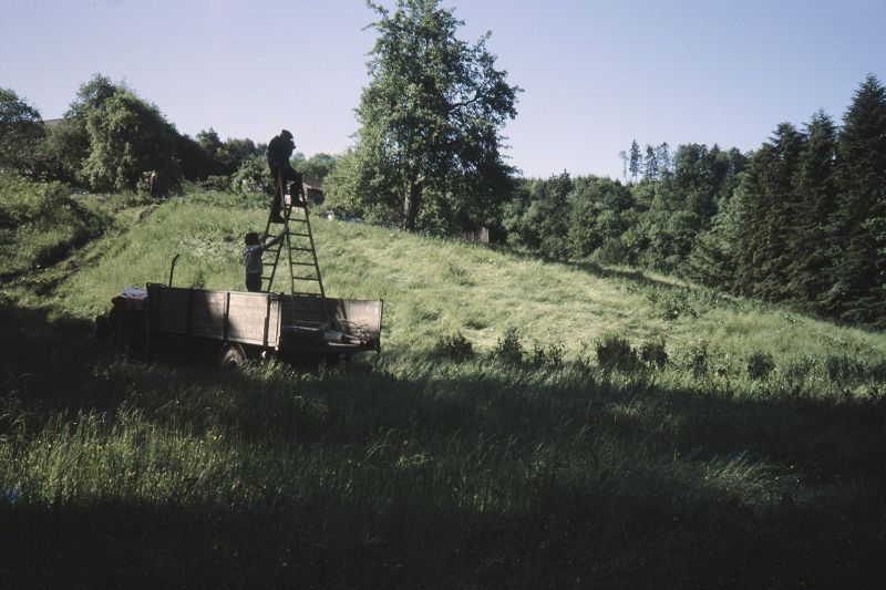 File:CR131-Image4.jpg
