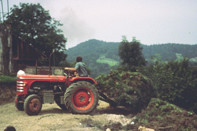 File:CR175-Image3.jpg