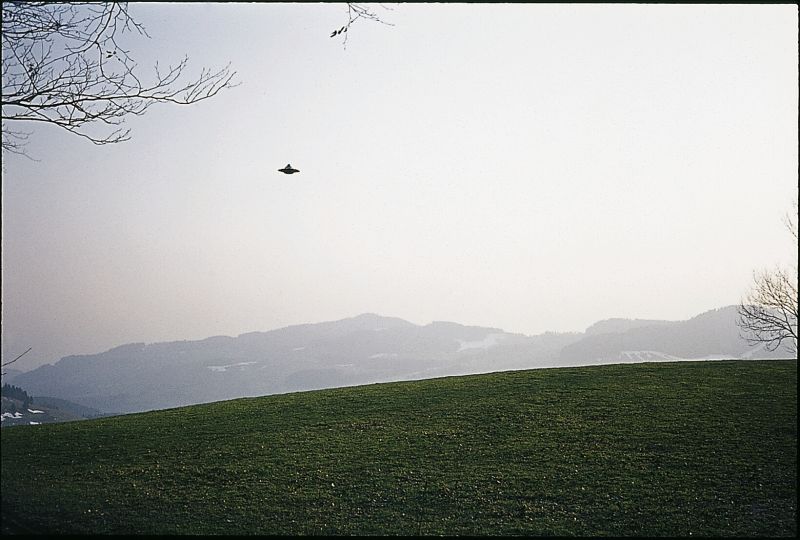 Ficheiro:F 151.jpg