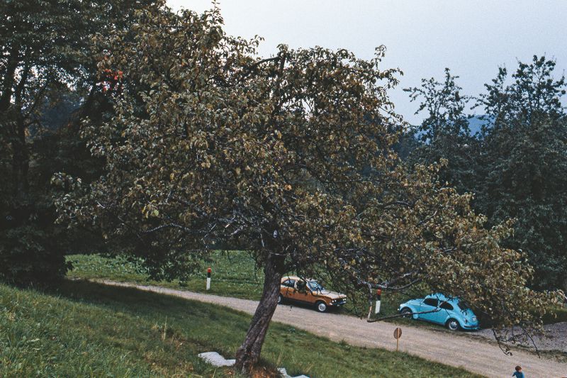 File:CR80-Image2.jpg